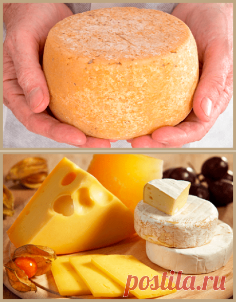 Cheese Meridian — закваска, превращается в сыр для здоровья. Вниманию широкой аудитории представлена современная технология закваски сырного продукта, главным преимуществом которого является изготовление по оригинальной рецептуре по-настоящему качественной субстанции. Иными словами, став обладателем оригинального рецепта и высокотехнологичной закваски Cheese Meridian, на вашем обеденном столе каждый день будет действительно экологический продукт.