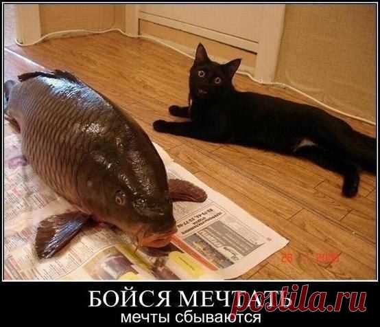 Море позитива от братьев наших меньших
