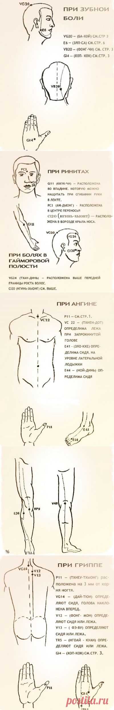 Целебные свойства бальзама «Звездочка»