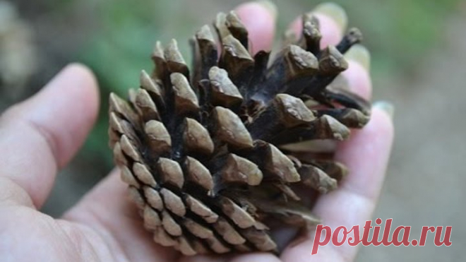 Народные средства от ИНСУЛЬТА!!!