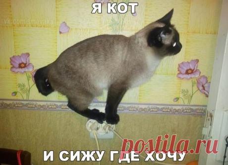 Позитивные и смешные картинки с надписью со смыслом ( 12 фото ) . Тут забавно !!!