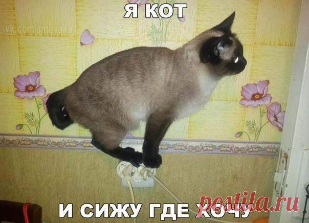 Позитивные и смешные картинки с надписью со смыслом ( 12 фото ) . Тут забавно !!!