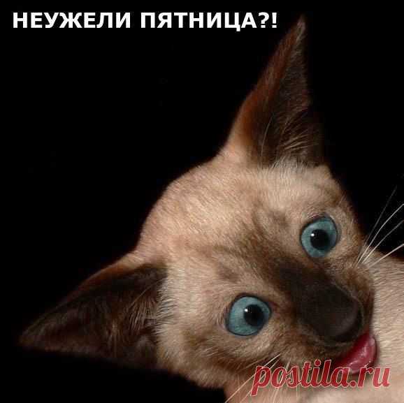 прикольные открытки про пятницу - 4 796 картинок. Поиск@Mail.Ru