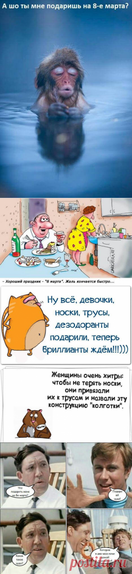 Подборка смешных картинок к 8 марта. На любой случай! | В темпі життя
