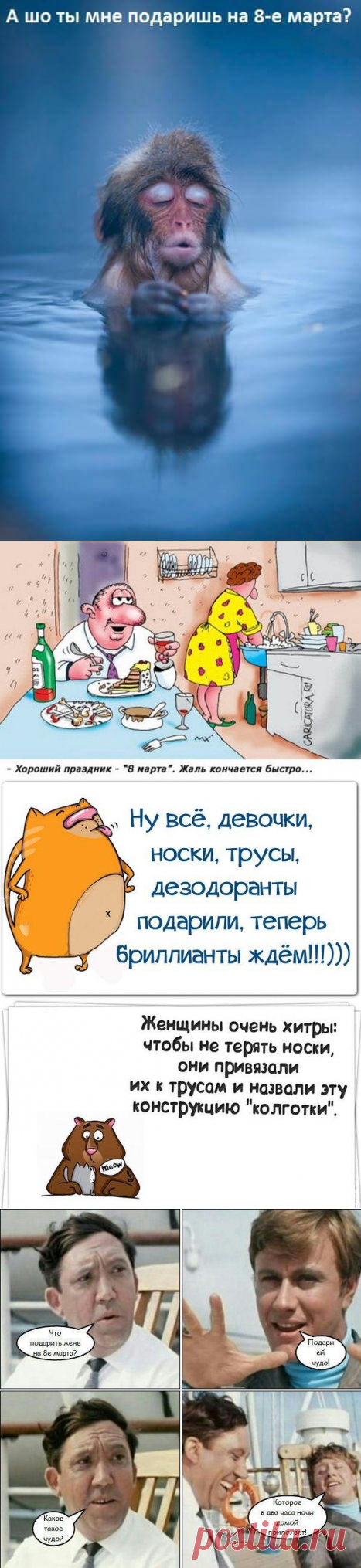 Подборка смешных картинок к 8 марта. На любой случай! | В темпі життя