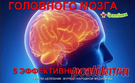 Очищение сосудов головного мозга очень важная процедура, которая способна значительно улучшить ваше самочувствие при ряде заболеваний, от остеохондроза шейного отдела до атеросклероза.
Регулярное очищение сосудов позволит вам избавиться от тяжести в голове, исчезнут головные боли, прояснится сознание, улучшится настроение. Мы подготовили для вас 5 эффективных и проверенных рецептов очищения сосудов головного мозга.
Очищение сосудов головного мозга – уникальные методики:
1-...