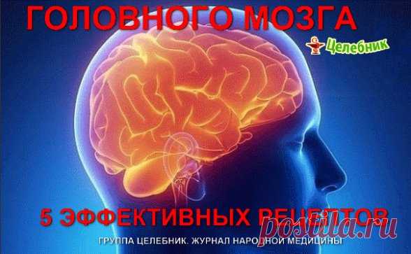 Очищение сосудов головного мозга очень важная процедура, которая способна значительно улучшить ваше самочувствие при ряде заболеваний, от остеохондроза шейного отдела до атеросклероза.
Регулярное очищение сосудов позволит вам избавиться от тяжести в голове, исчезнут головные боли, прояснится сознание, улучшится настроение. Мы подготовили для вас 5 эффективных и проверенных рецептов очищения сосудов головного мозга.
Очищение сосудов головного мозга – уникальные методики:
1-...