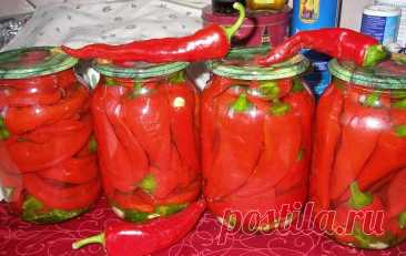 Острый маринованный перец с мёдом — Домашняя кулинария