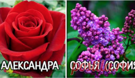 Цветок вашего имени | bomba.co