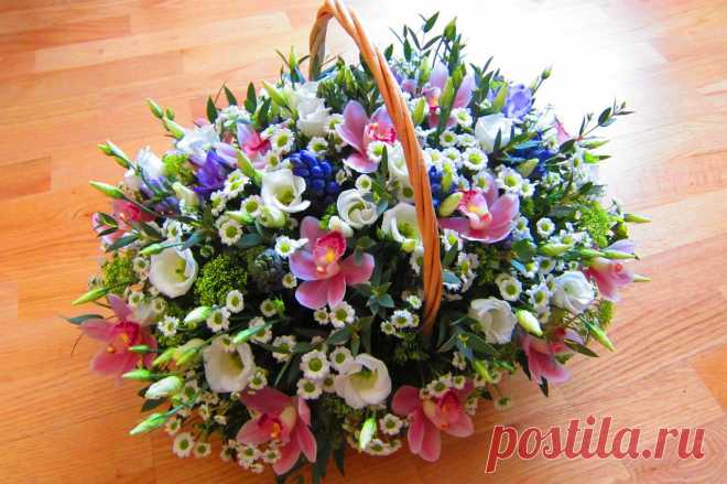 Валентина Хазова
