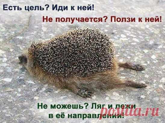 Однокласники