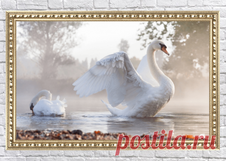 Смотреть все картины со скидкой!