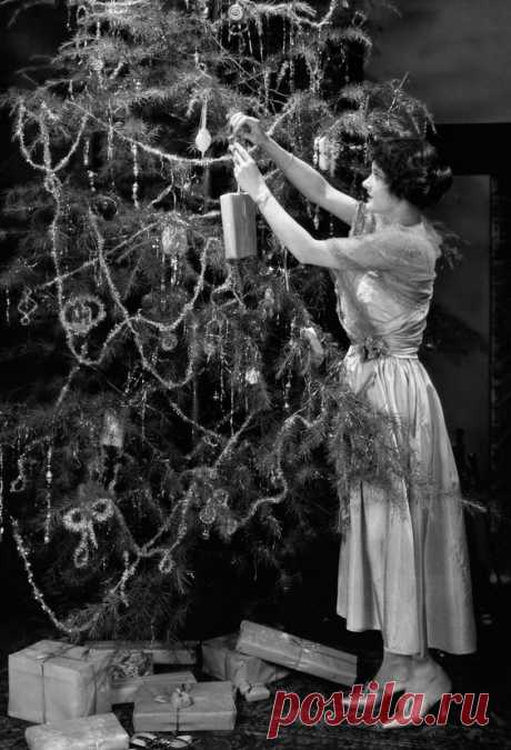 Martha's Collection of Vintage Faux Christmas Trees Is a Sight to Behold