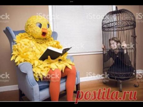 Странные и прикольные фотографии - Нет скуки.ру. Юмор, приколы, смешные картинки и разные интересности..