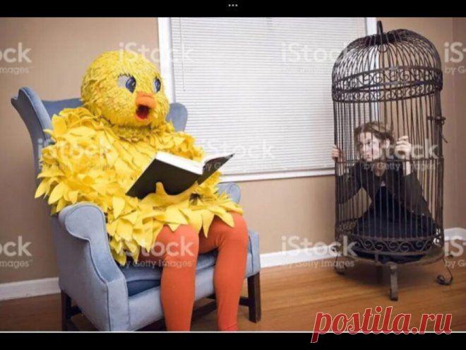 Странные и прикольные фотографии - Нет скуки.ру. Юмор, приколы, смешные картинки и разные интересности..