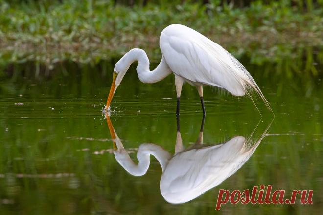 SAM_2250 Explore Scott Alan McClurg's photos on Flickr. Scott Alan McClurg has uploaded 10540 photos to Flickr.