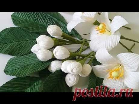Grapefruit blossom paper flower - Làm hoa bưởi từ giấy nhún