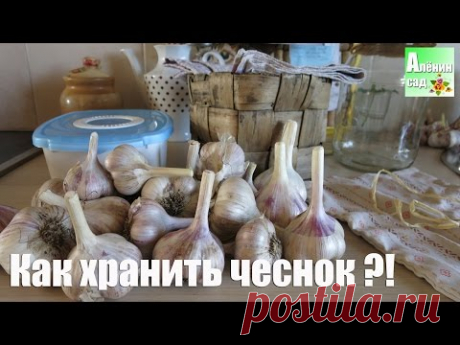 Как сохранить ЧЕСНОК. Все тайны! / All about garlic storage