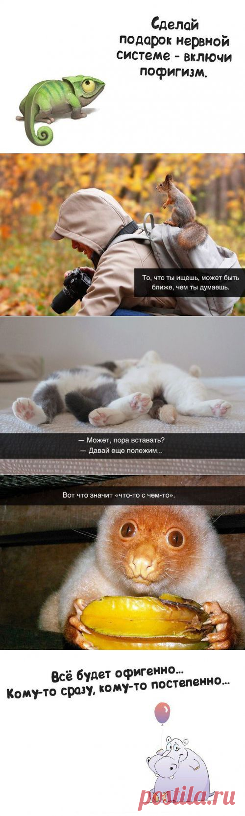 Житейская мудрость в прикольных картинках (23 фото) | Приколисты