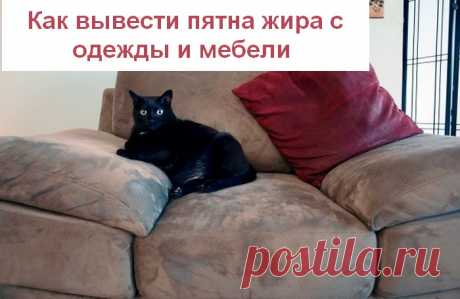 Лайфхак для нерях: как вывести даже старые пятна жира с одежды и мебели