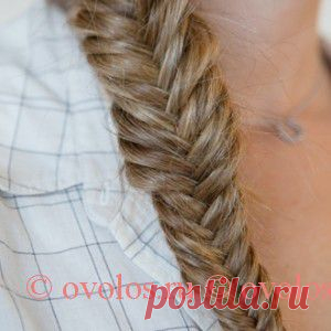 Коса рыбий хвост: как плести, Как плести косу рыбий хвост