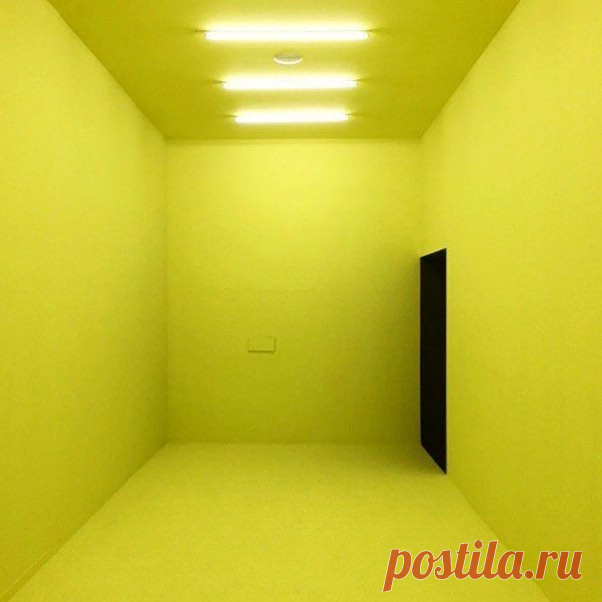 Публикация Seen Displays в Instagram • Ноя 7 2016 в 8:55 UTC 45 отметок «Нравится», 3 комментариев — Seen Displays (@seendisplays) в Instagram: «There's nothing like two grams of Black Mamba venom mixed with fluorescent paint to give you an…»