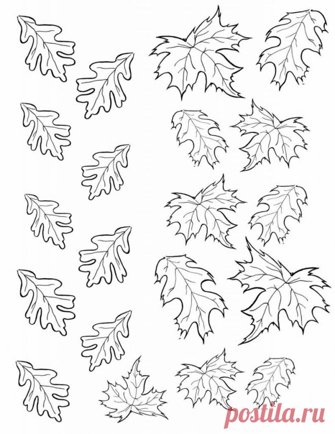 Картинки-раскраски про осень (35 фото) ⭐ Забавник