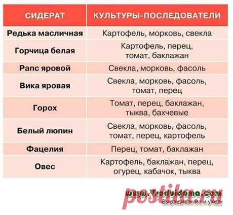 Сидераты которые нужно сеять ранней весной – сколько, когда и где? Содержание ✓✓ СИДЕРАТЫ ПО СЕМЕЙСТВАМ✓ СИДЕРАТЫ – С ЧЕГО НАЧАТЬ✓ СКОЛЬКО СИДЕРАТОВ СЕЯТЬ✓ КАКОЙ СИДЕРАТ ОТ ЧЕГО И ДЛЯ ЧЕГО✓ СКОЛЬКО СИДЕРАТОВ СЕЯТЬ✓ ПОЛЕЗНО ЗНАТЬ✓ ПОЧВА КОТОРОЙ НУЖНЫ СИДЕРАТЫ✓ КАКИЕ СИДЕРАТЫ СЕЯТЬ ВЕСНОЙ ВИДЕО ПОСЕВ РАСТЕНИЙ СИДЕРАТОВ РАННЕЙ ВЕСНОЙ СИДЕРАТЫ ПО СЕМЕЙСТВАМ Крестоцветные сидераты— горчица, масличная редька, рапс, сурепка Бобовые сидераты — горох, люпин, бобы, …