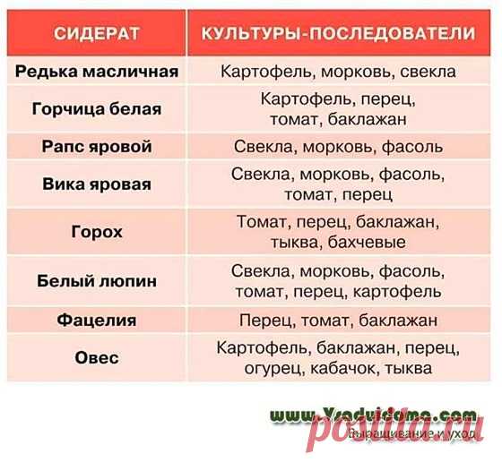 Сидераты которые нужно сеять ранней весной – сколько, когда и где? Содержание ✓✓ СИДЕРАТЫ ПО СЕМЕЙСТВАМ✓ СИДЕРАТЫ – С ЧЕГО НАЧАТЬ✓ СКОЛЬКО СИДЕРАТОВ СЕЯТЬ✓ КАКОЙ СИДЕРАТ ОТ ЧЕГО И ДЛЯ ЧЕГО✓ СКОЛЬКО СИДЕРАТОВ СЕЯТЬ✓ ПОЛЕЗНО ЗНАТЬ✓ ПОЧВА КОТОРОЙ НУЖНЫ СИДЕРАТЫ✓ КАКИЕ СИДЕРАТЫ СЕЯТЬ ВЕСНОЙ ВИДЕО ПОСЕВ РАСТЕНИЙ СИДЕРАТОВ РАННЕЙ ВЕСНОЙ СИДЕРАТЫ ПО СЕМЕЙСТВАМ Крестоцветные сидераты— горчица, масличная редька, рапс, сурепка Бобовые сидераты — горох, люпин, бобы, …