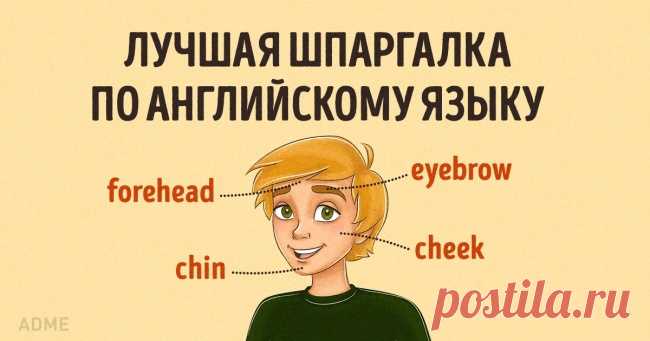 Лучшая шпаргалка по английскому языку