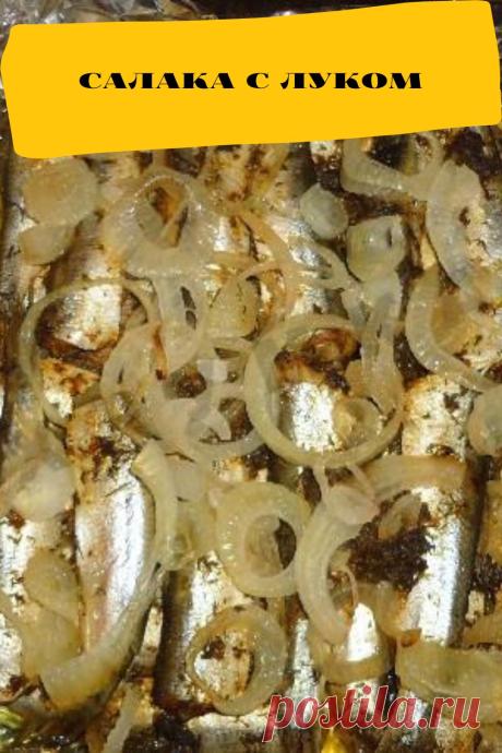 салака с луком