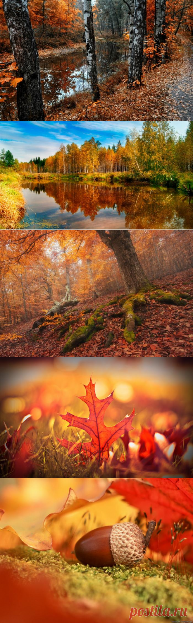 Яркие краски осени