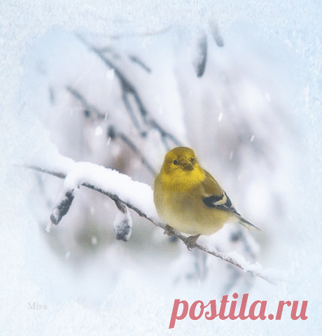 Доброе утро
