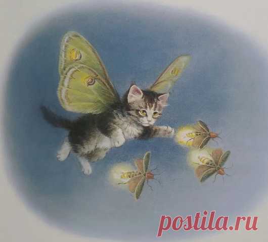 Cute pictures of cats – Google+