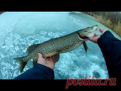 Рыбалка на жерлицы | Новогодняя рыбалка 2022