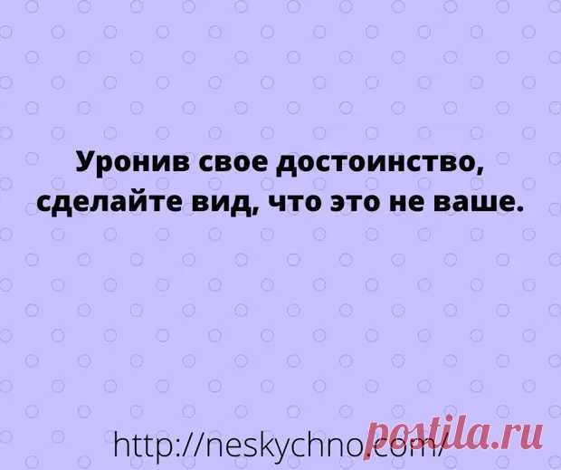 (30) Искромётная подборка анекдотов и позитива в картинках - Сказка для двоих - медиаплатформа МирТесен