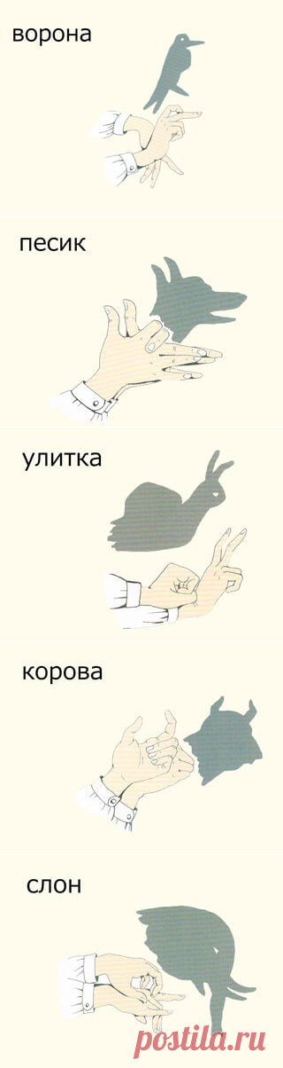 как сделать театр теней своими руками для детей скачать шаблоны, трафареты, видео