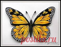 (223) Image result for quilled peacock pinterest | paper quilling
Бабочки