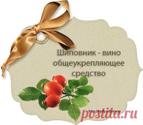 Шиповник - вино общеукрепляющее средство |