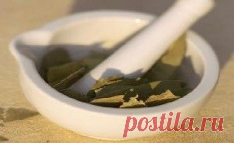 Очищение суставов с помощью лаврового листа. | Советы Народной Мудрости