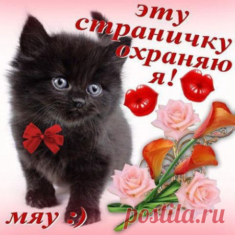 Интересные новости