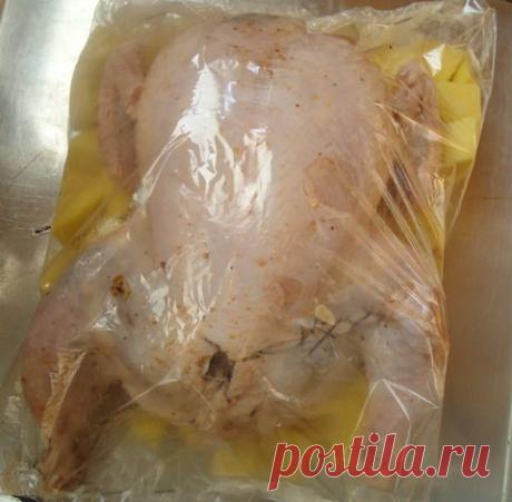 Курица с орехами (ляванги) от Сабины Гасановой / Gurmaniya.uz — сообщество гурманов
