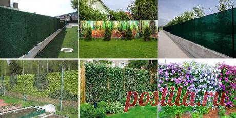 Оригинальные способы облагородить забор из сетки рабицы! | ДОМ ЯРКИХ ИДЕЙ | Яндекс Дзен