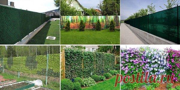 Оригинальные способы облагородить забор из сетки рабицы! | ДОМ ЯРКИХ ИДЕЙ | Яндекс Дзен