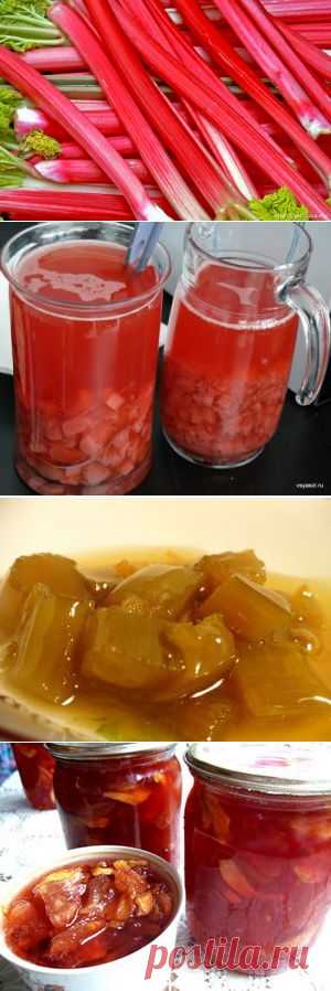 Вкусные заготовки и варенье из ревеня - 15 рецептов.