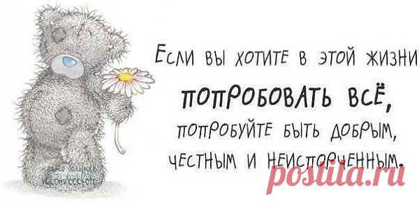 попробуй)