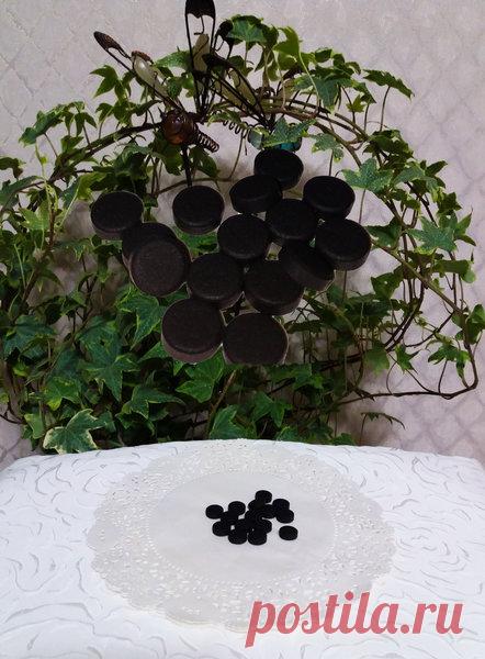 АКТИВИРОВАННЫЙ УГОЛЬ- ВАЖНАЯ ПОДКОРМКА ДЛЯ КОМНАТНЫХ РАСТЕНИЙ!!!🍃🌹🍀 | 🍃🌹🍀О ЦВЕТАХ И НЕ ТОЛЬКО.🍃😋🍀 | Яндекс Дзен