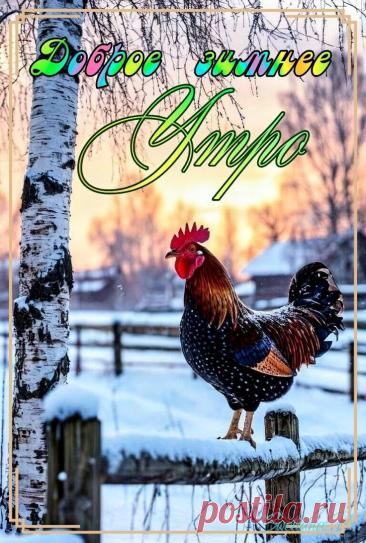 С добрым утром Привет Здрасте Добрый день