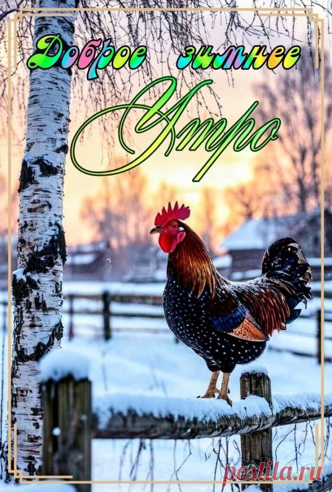 С добрым утром Привет Здрасте Добрый день