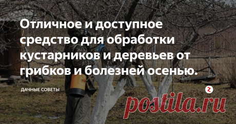 Отличное и доступное средство для обработки кустарников и деревьев от грибков и болезней осенью. Каждый год, сразу после того, как весь урожай собран, а листья опали, я обрабатываю  плодовые деревья и кустарники. Обычно хватает одной обработки. С  помощью обработки я пытаюсь защитить кустарники и деревья от развития  грибка и появления инфекций. Мои самые любимые помощники в этом деле -  это чёрная гниль, монилиоз, ржавчина, фитофтороз, марша, серая пятнистость, плодовая гниль, антракноз и ко